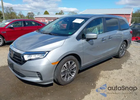 2024 Honda Odyssey Ex-L from USA, damaged, VIN 5FNRL6H61RB030276